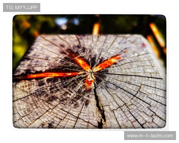 敢于突破自我：尊龙人生就是搏一下的无限可能