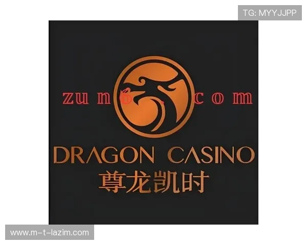 凯时尊龙客服的安全措施与隐私保护策略保障玩家个人信息安全